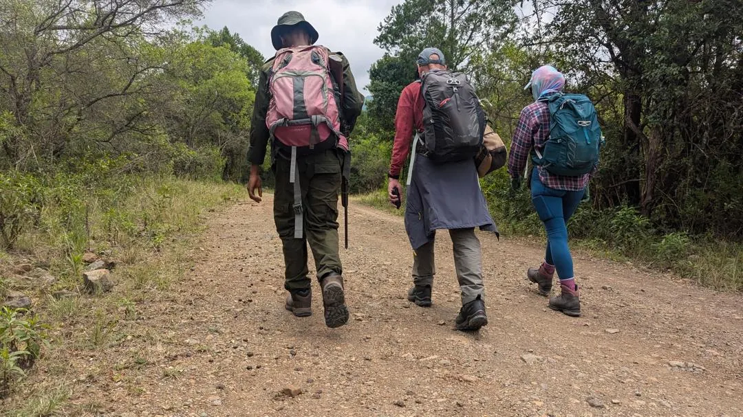 Mount Kilimanjaro trekking landscape